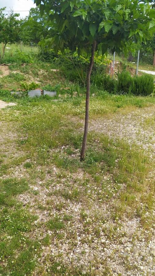 Apartment σουίτα στην εξοχική βίλλα δημήτριος τάκης . *