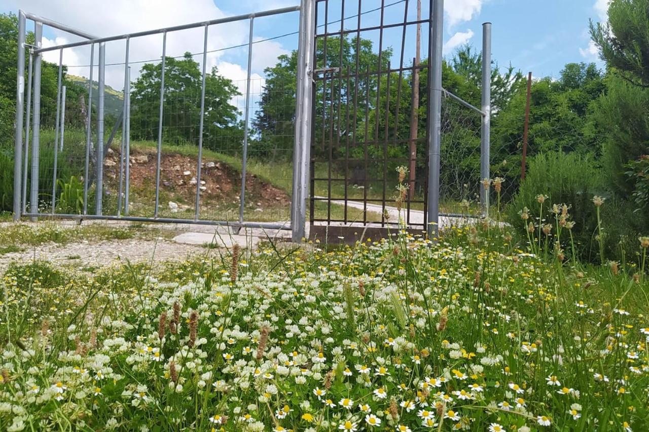 σουίτα στην εξοχική βίλλα δημήτριος τάκης . * Ioannina